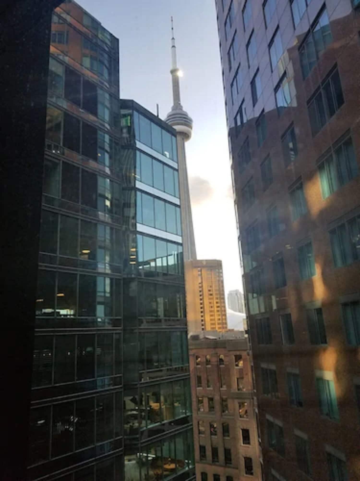 The Strathcona Hotel Toronto Zewnętrze zdjęcie